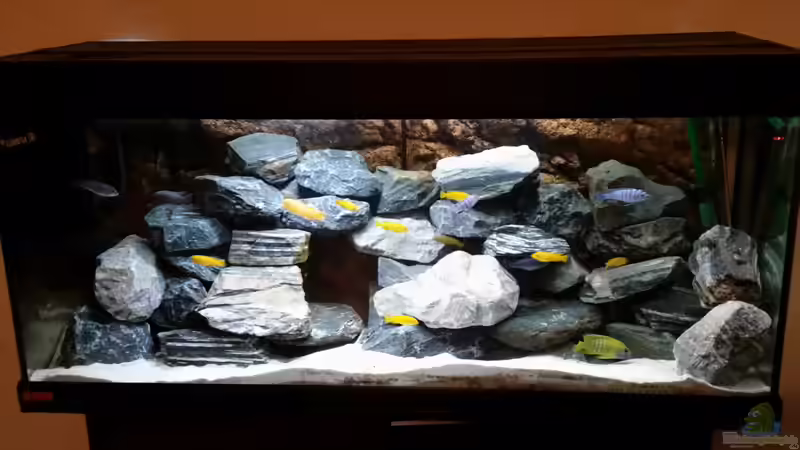 nach zusätzlicher Abdunklung. Kommt leider heller rüber als es ist von Andreas Musterfisch (1)