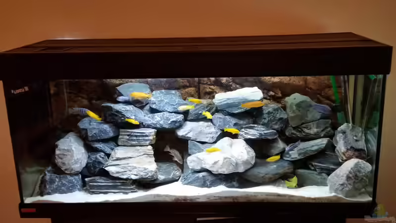 nach zusätzlicher Abdunklung. Kommt leider heller rüber als es ist von Andreas Musterfisch (2)