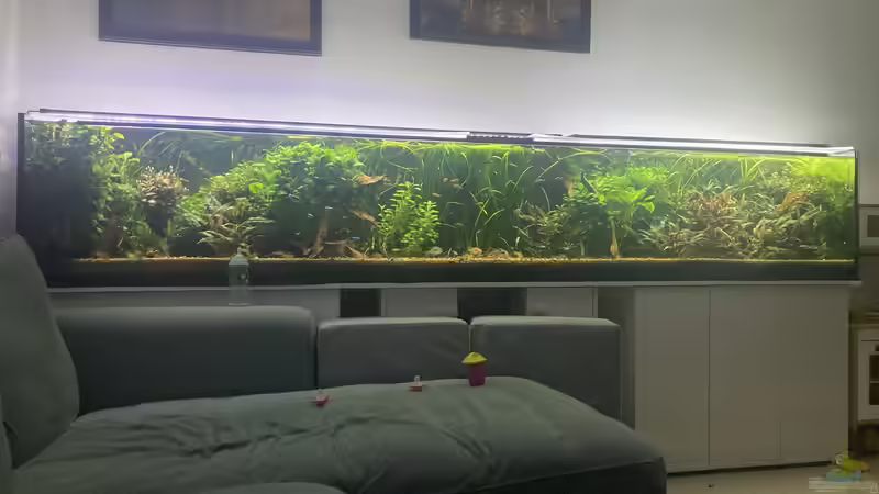 Nach zwei Jahren  von Fischfan11 (7)