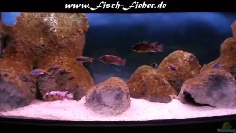 nach zwei Monaten von Dirk Friebe (3)