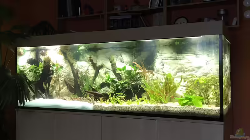 nach zwei Tagen, das Wasser hat sich geklärt von H.T. (4)