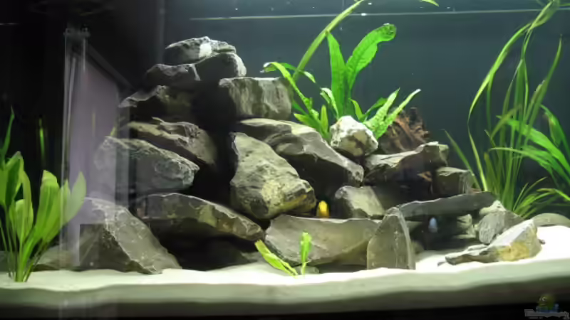 Nachbarn :-) von Zonk (6)