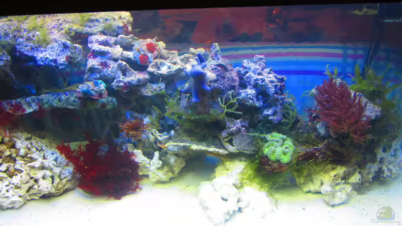 Nachdem Aufbauen ( 5 Stunden) von Christian Bayerl (2)