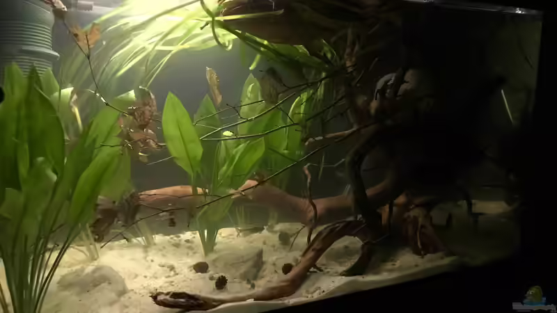 Nachdem sich die Trübung etwas gelegt hat  von Raven887 (7)