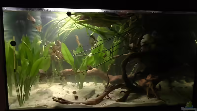 Nachdem sich die Trübung etwas gelegt hat von Raven887 (5)