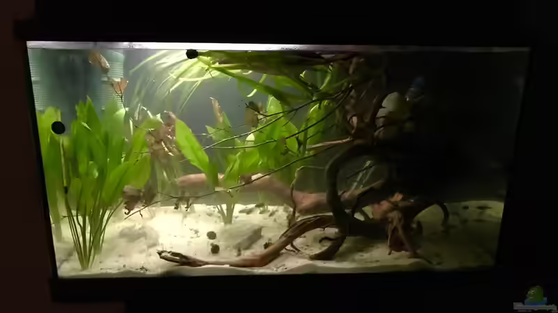 Nachdem sich die Trübung etwas gelegt hat von Raven887 (6)