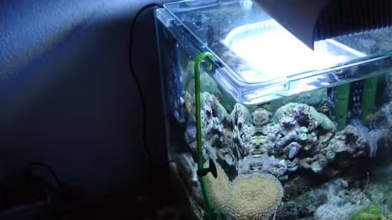 Nachfüllanlage von hej kompisar (26)