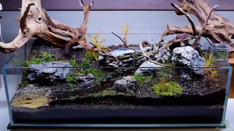 Nachhaltige Materialien bei Terrarienbau und -Einrichtung