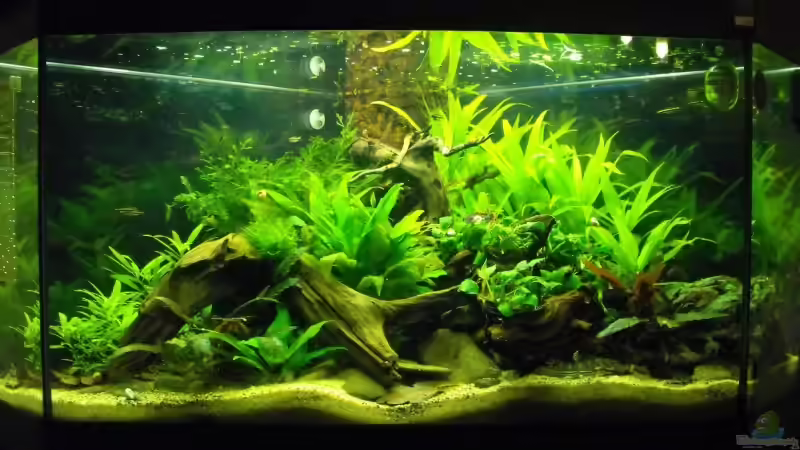 Nachher... von -serok- (3)