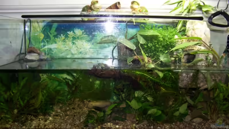 nachher von Nicky (3)