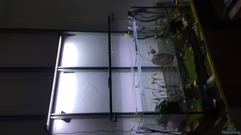 Nachher von Paule ´s Beckenbauer (12)