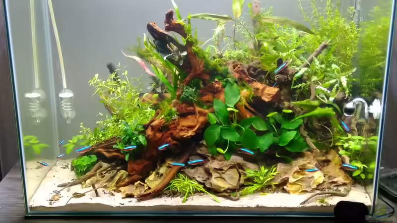 Nachher von Shiro13 (3)