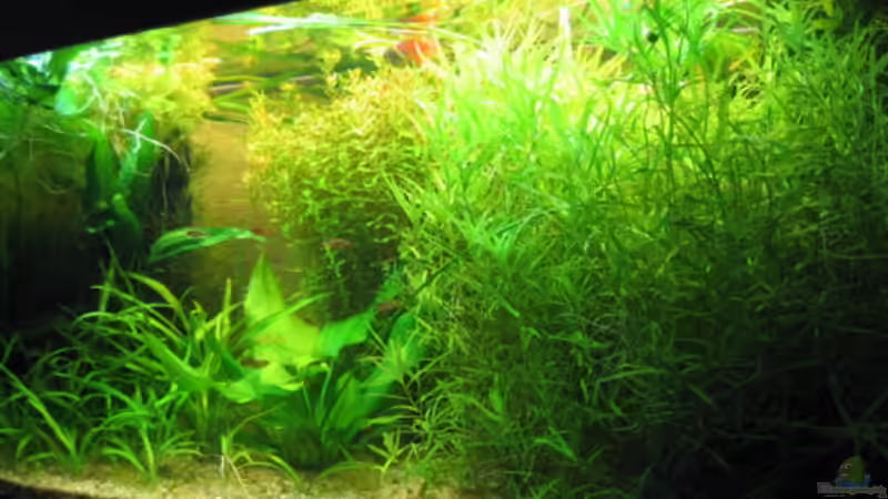 Nachher von Sven Kliche (5)