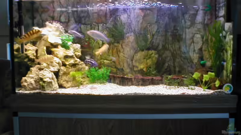 Nachher von Ulrich Rothärmel (1)