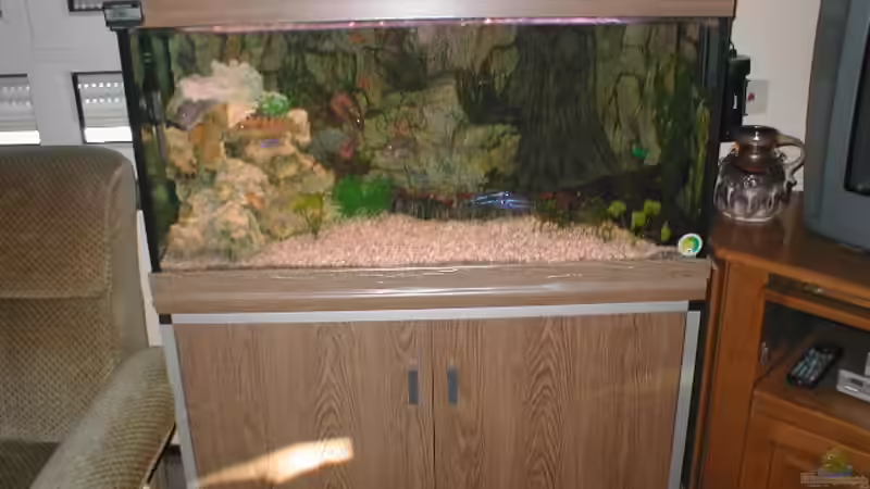 Nachher von Ulrich Rothärmel (2)