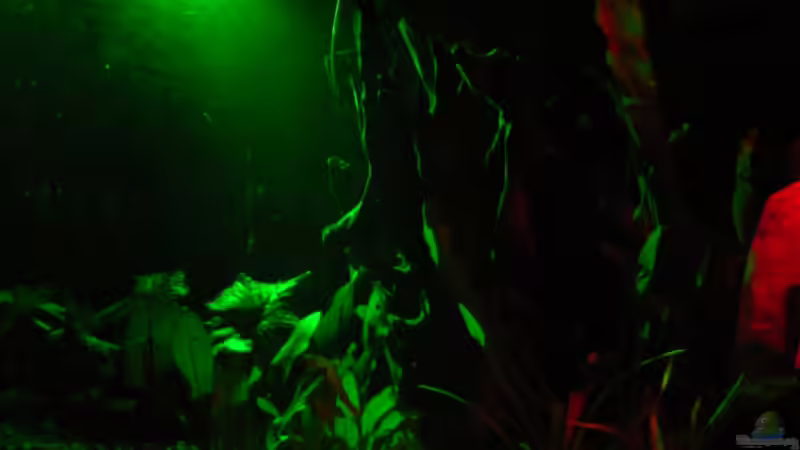 Nachlicht sieht heller aus als es ist, 8Sekunden Langzeitbelichtung von Oliver Czaika (15)