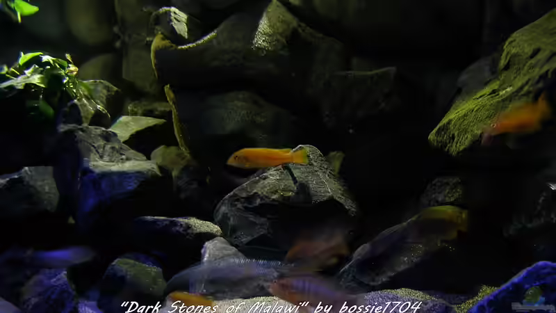 Nachmittags um fünf über Dark Stones... von bossie1704 (30)