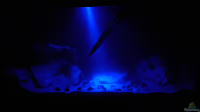 Nacht, trübes Wasser nach Einrichten von DominikZ (3)