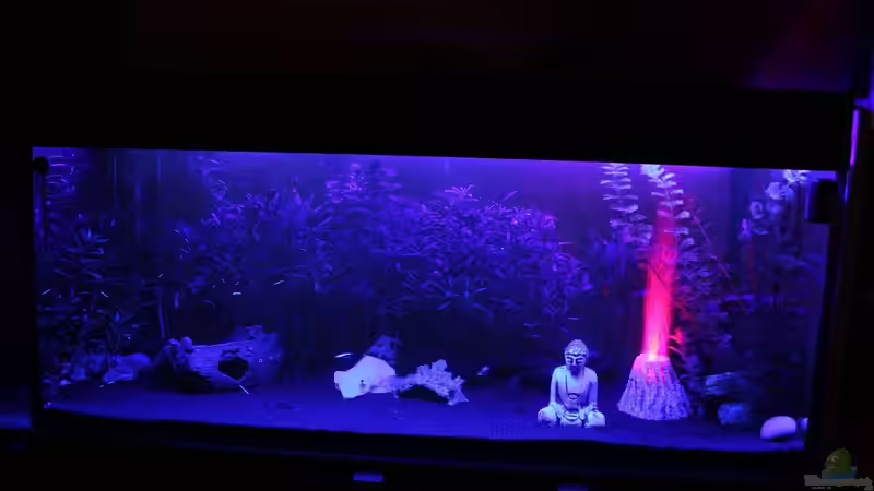 Nacht Beleuchtung von Chaos Master (3)