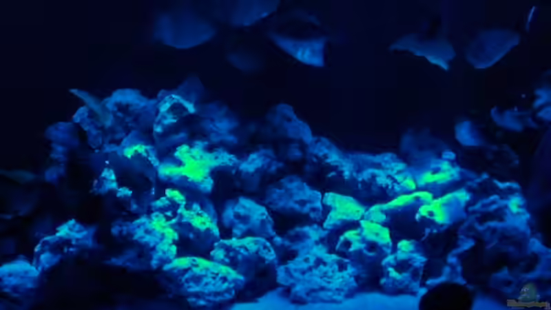 Nacht Beleuchtung von Mirco N. (5)