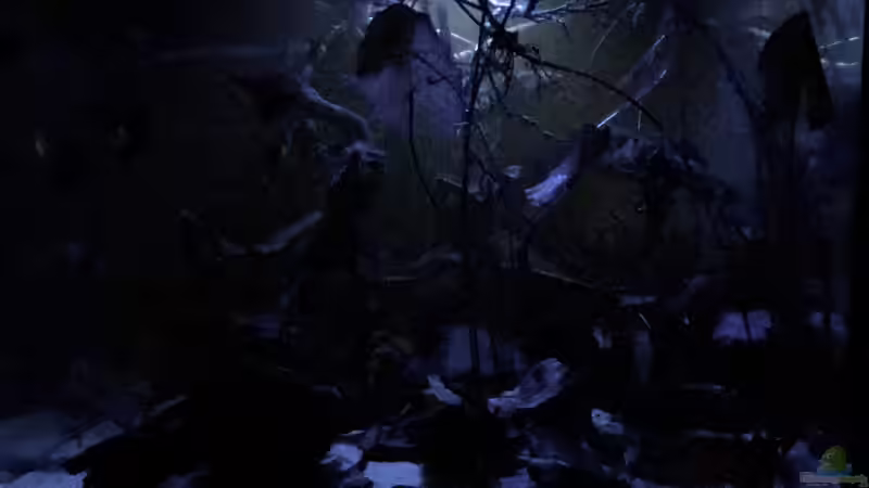 Nacht II von NaMo (29)