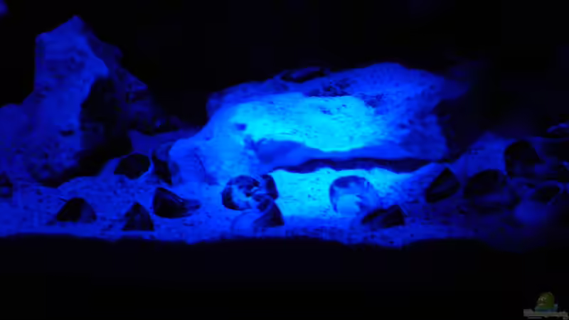 Nacht,klar,Mondlicht, Nah 25.09.2012 von DominikZ (7)