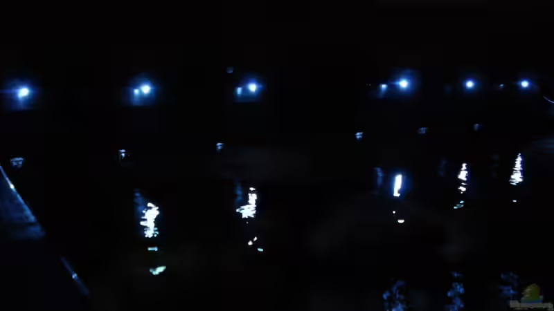 Nacht LED... am Beckenrand von .uschi (25)