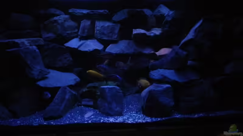 Nacht Patrollie der ganzen Bande  von Wasserfest ;-) (25)