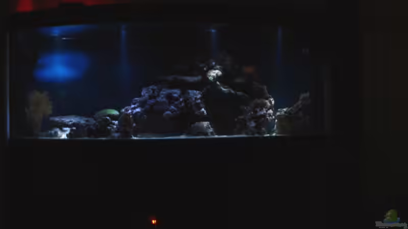 Nacht von .uschi (4)