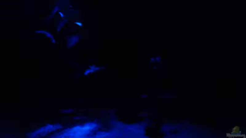 Nacht von Markus Gura (3)