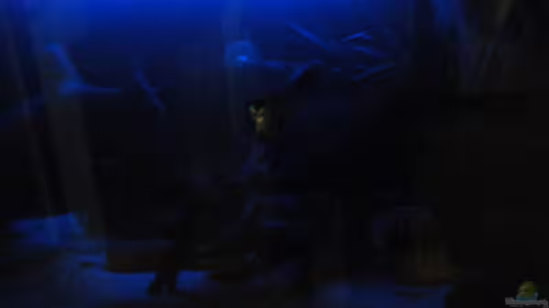 Nacht von Tommy&Hanny (5)