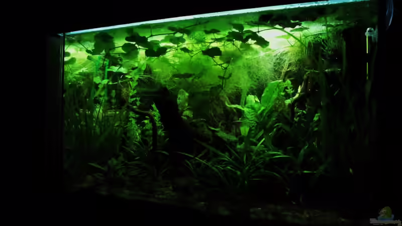 Einrichtungsbeispiele mit LED-Beleuchtung