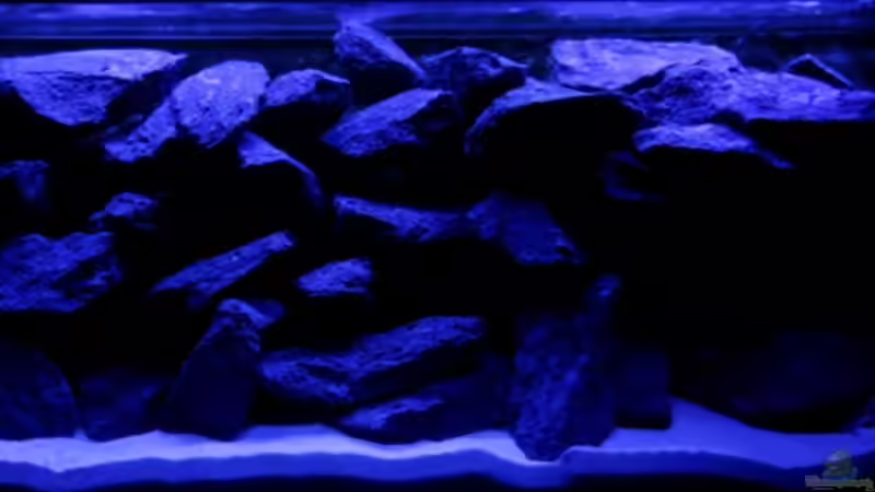 Nachtansicht von Felsenjunkie (5)