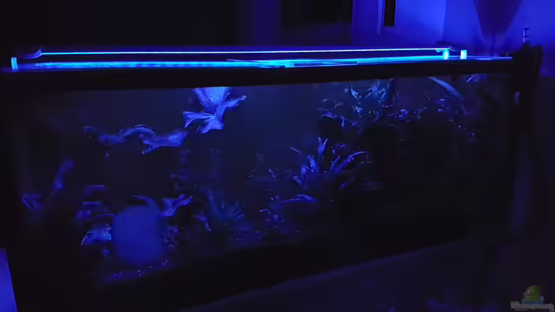 Nachtansicht von Sunnyboy_72 (19)