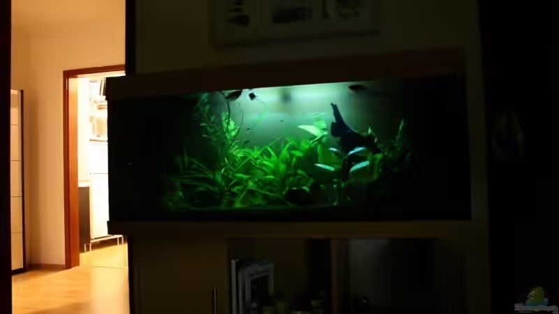 Nachtbeleuchtung, ist eigentlich noch schummriger als auf dem Foto von Viktor D. (3)