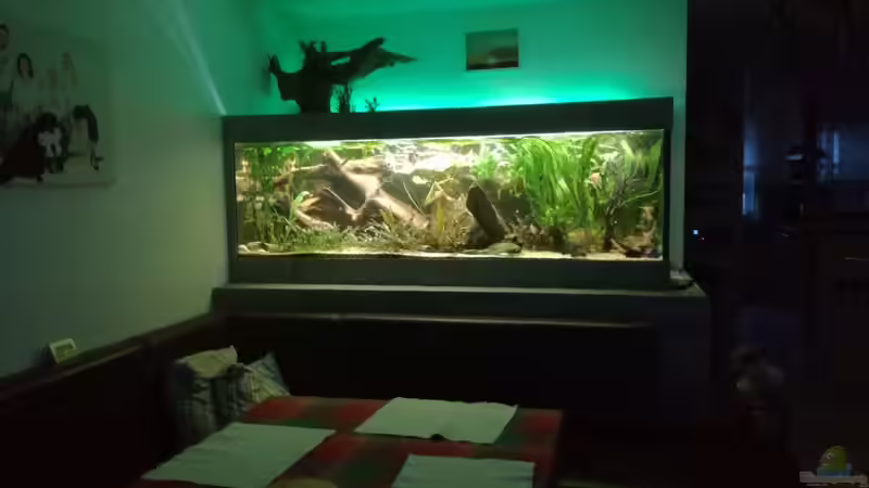 Nachtbeleuchtung 1 von Asta (2)