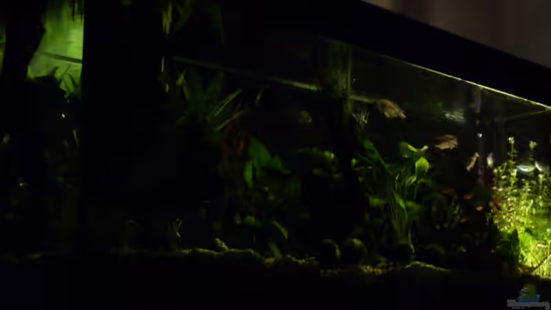 Nachtbeleuchtung (15 min) von Pogobeer (9)