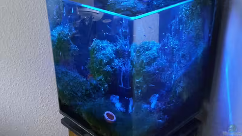 Nachtbeleuchtung falls das Normale Licht mal störend ist von Schallex (5)