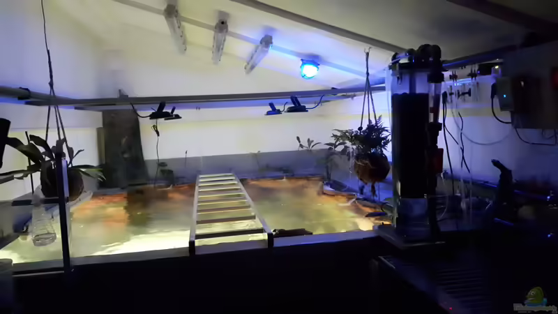 Nachtbeleuchtung von 8 CBM (37)