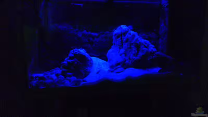 Nachtbeleuchtung von PhilGabriel (2)