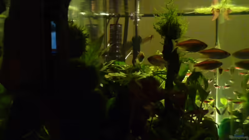 Nachtbeleuchtung von Pogobeer (8)