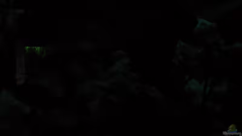 Nachtbeleuchtung von Sky1706 (3)