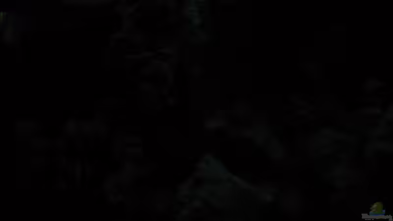 Nachtbeleuchtung von Sky1706 (5)