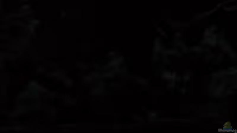 Nachtbeleuchtung von Sky1706 (6)