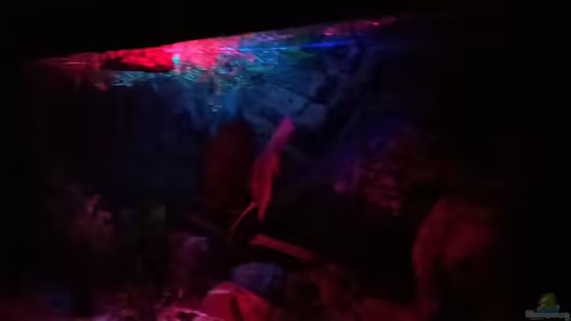 Nachtdämmerung von Lars Ascher (10)