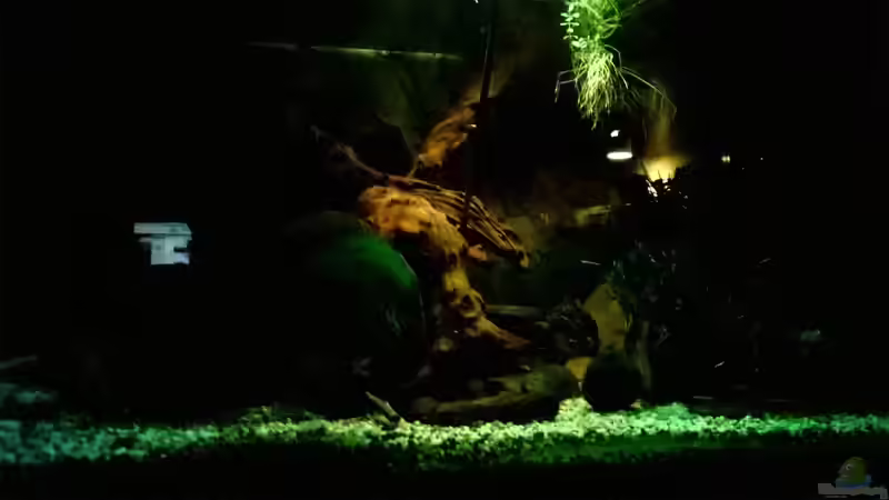 Nachtdämmerung von Lars Ascher (18)