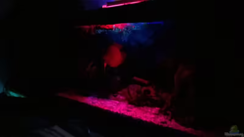 Nachtdämmerung von Lars Ascher (3)