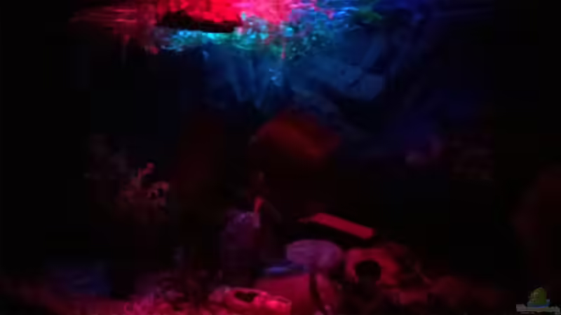 Nachtdämmerung von Lars Ascher (8)