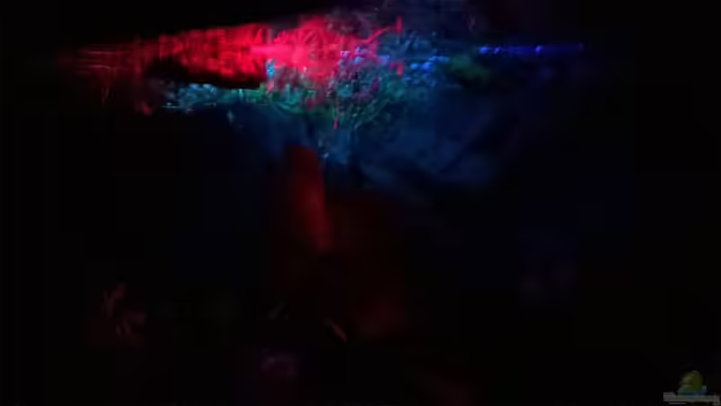 Nachtdämmerung von Lars Ascher (9)