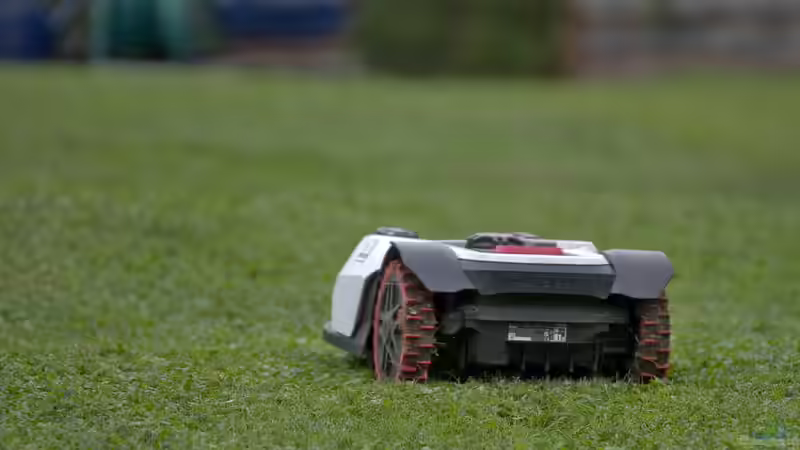 Nachtfahrverbot für Mähroboter - warum nächtliches Mähen zunehmend verboten wird